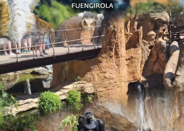 Nuevo Con Parking Y Piscina Gratis فوينخيرولا