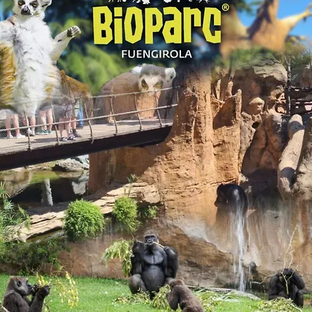 Nuevo Con Parking Y Piscina Gratis Fuengirola