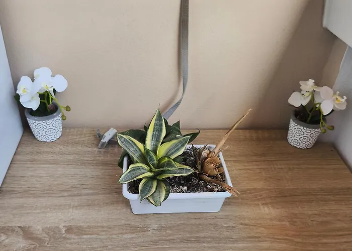 Апартаменты Nuevo Con Parking Y Piscina Gratis *